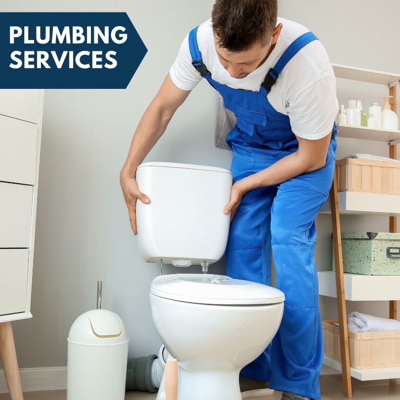 Plumbing Company in Eastanollee, GA